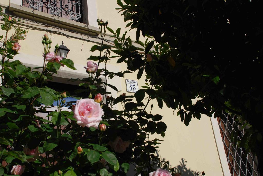 Beverara B&B Bolonia Exterior foto